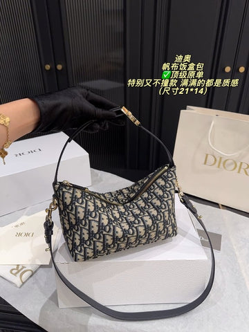 Dior Hobo (oblique)