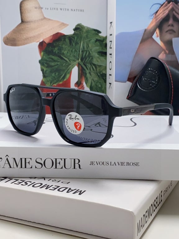 Ray-Ban RB4228 Square Sunglasses (Black with Silver Accent)